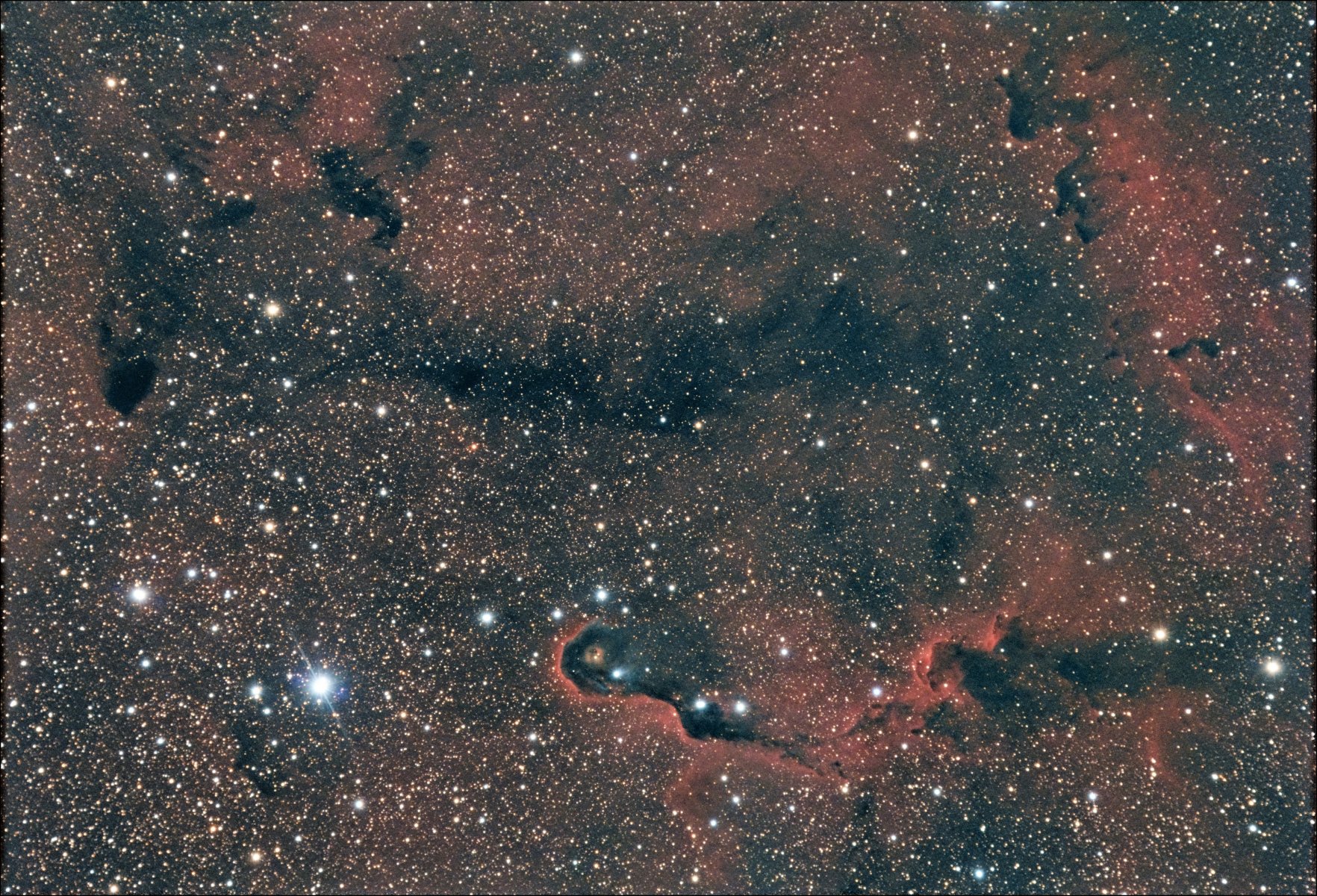 IC1396 APP.jpg