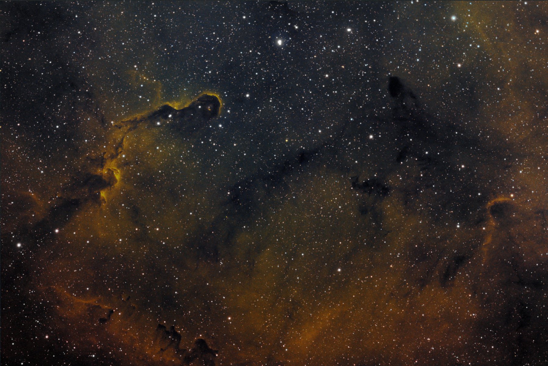 IC1396_Elephant_S2HaO3_curves_1920.jpg