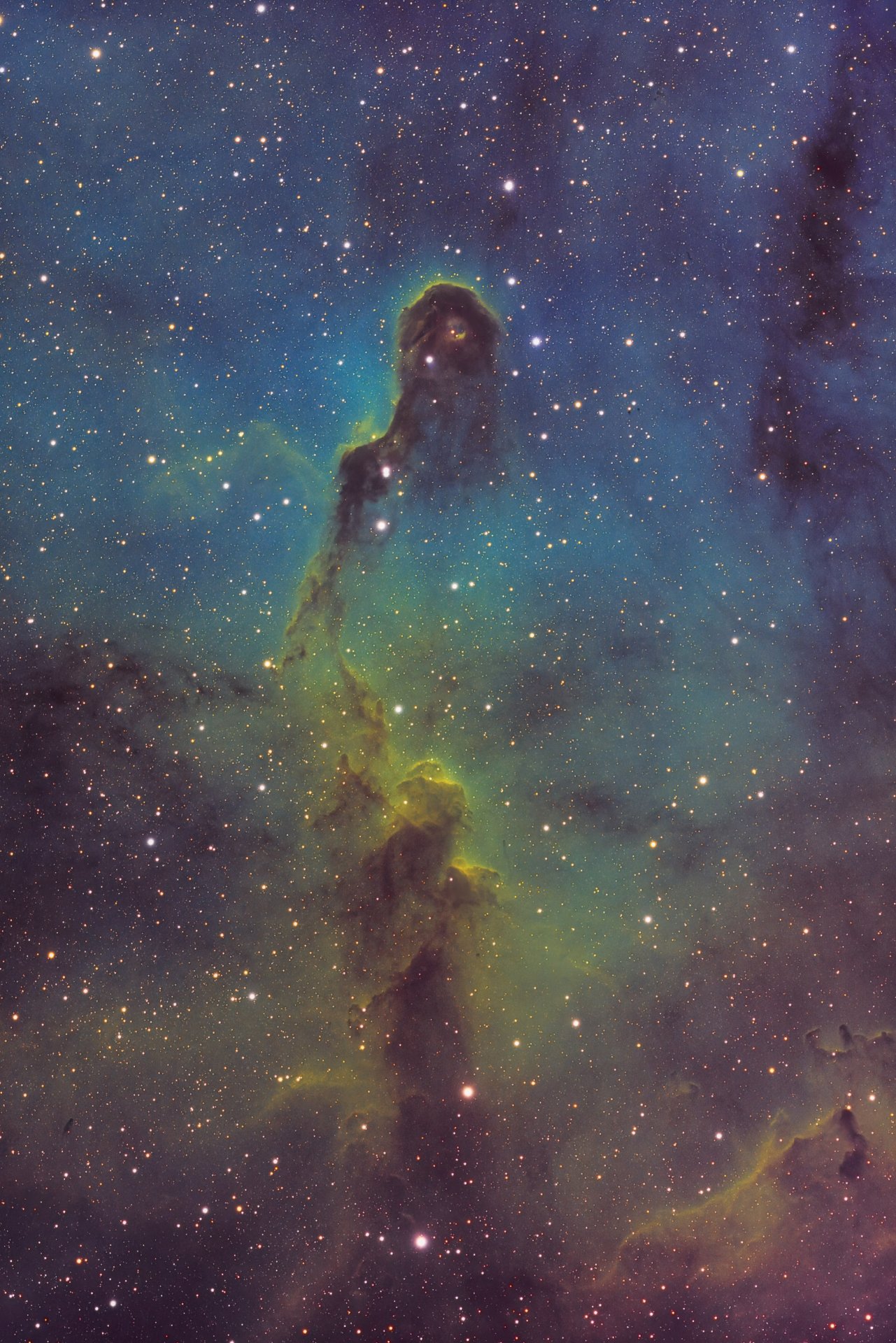 IC1396a-SHO_Hubble_1-St Kopie.jpg