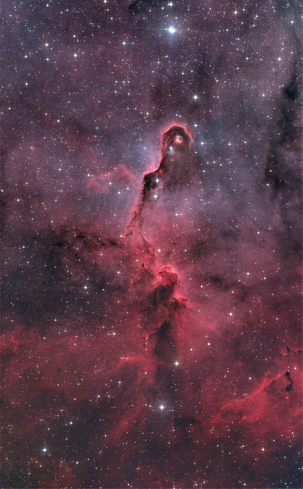 IC1396A_LRGBHOS_1600.jpg
