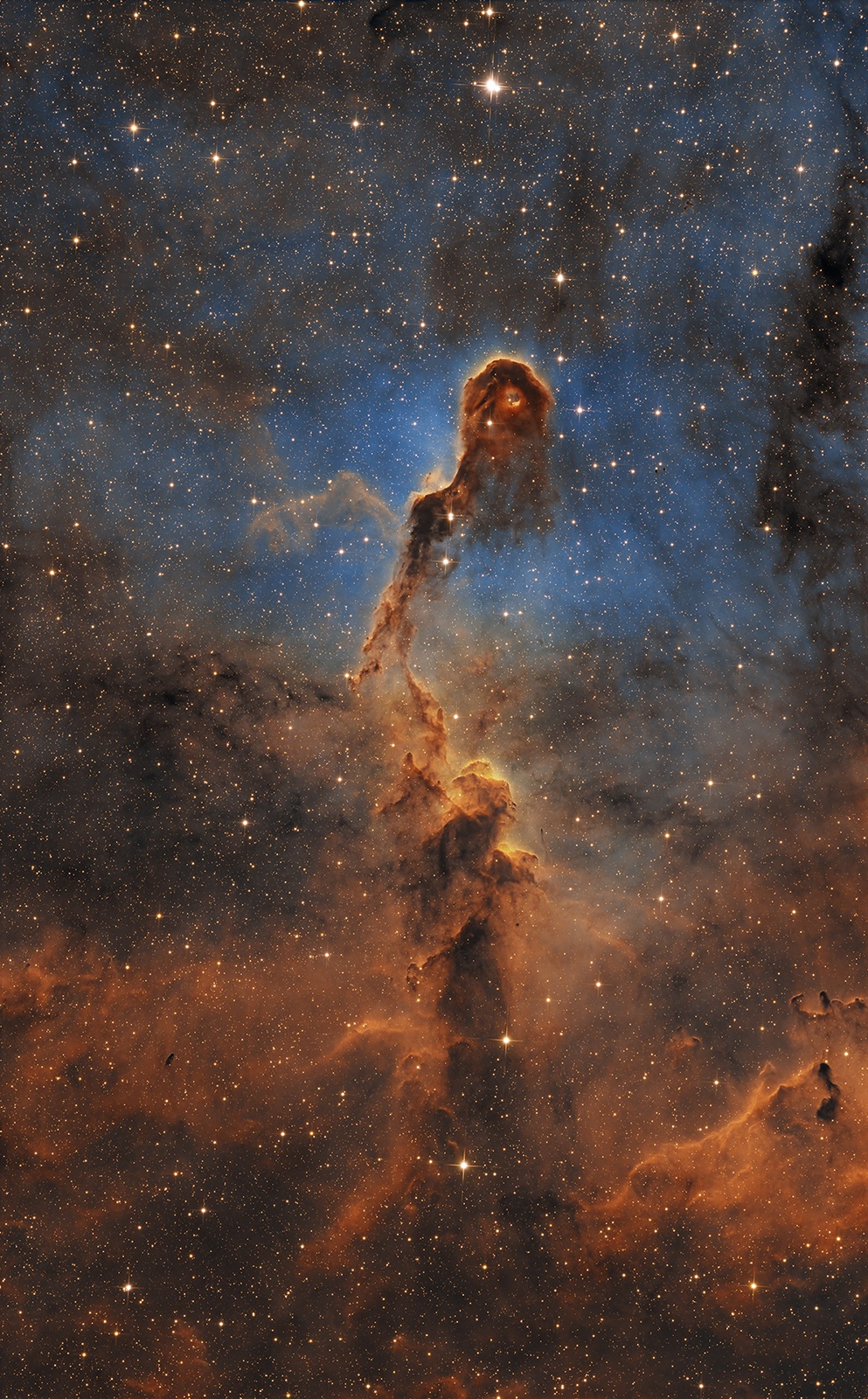 IC1396A_SHO_1600.jpg