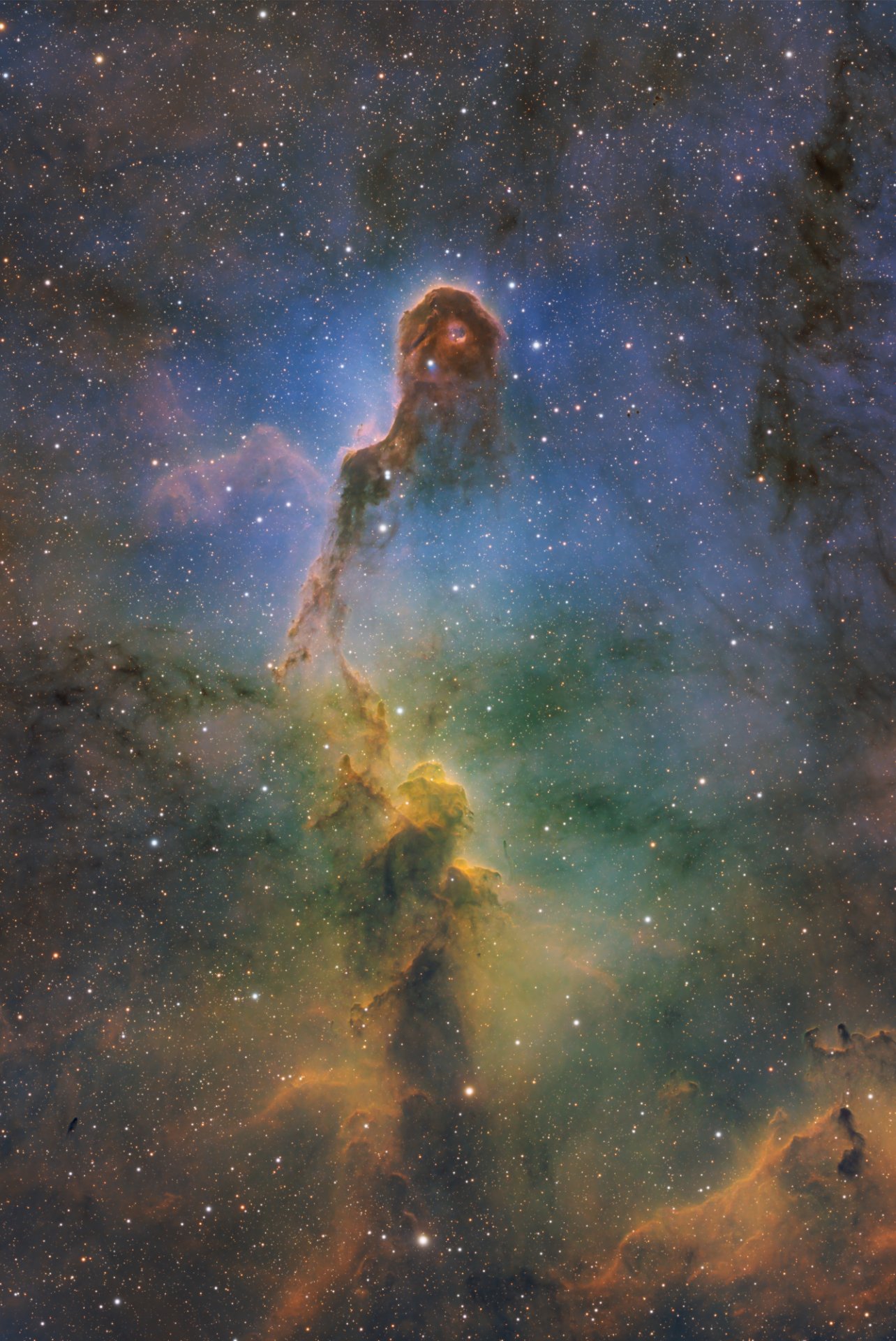 IC1396A_SHO_2.jpg