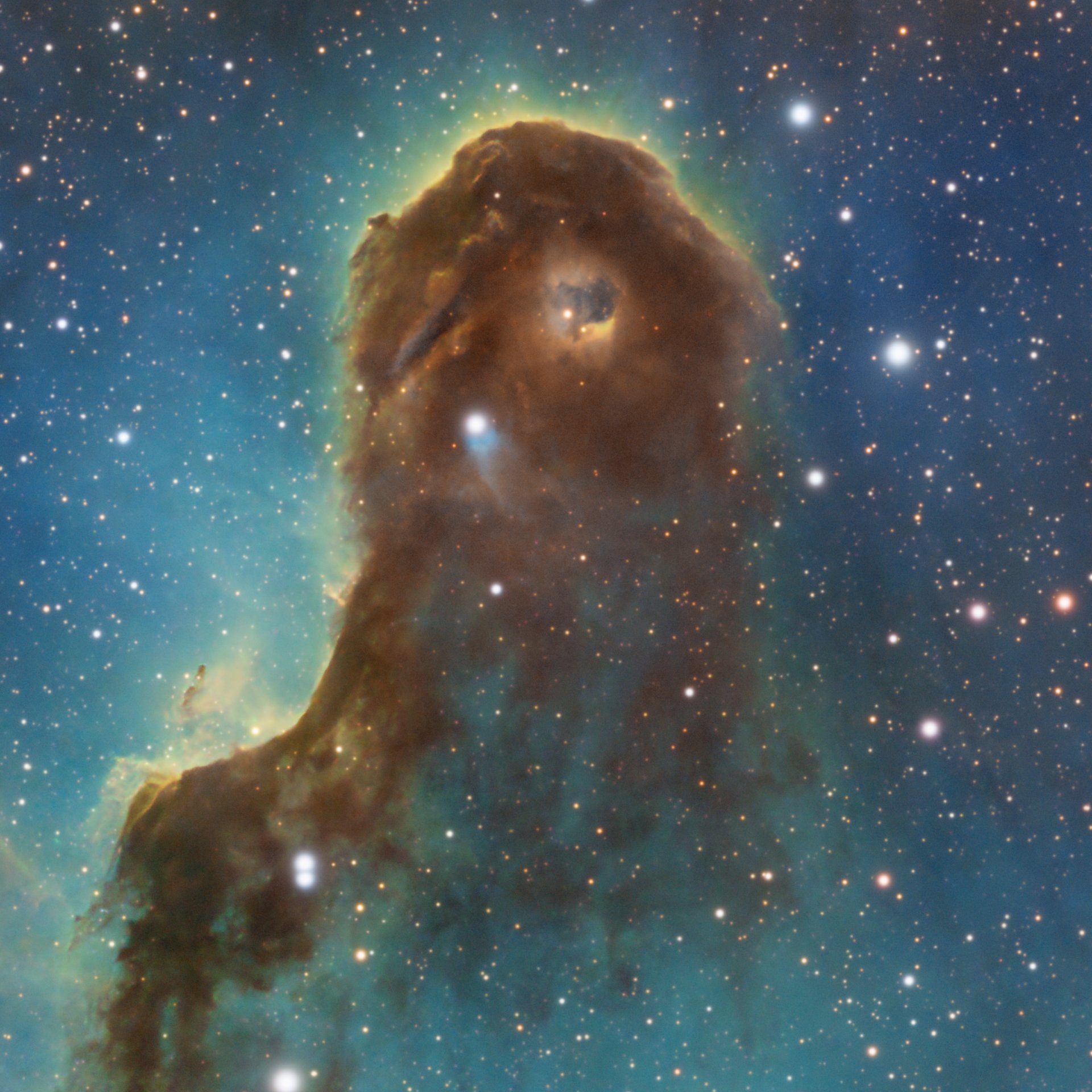 IC1396A_SHO_crop_01.jpg