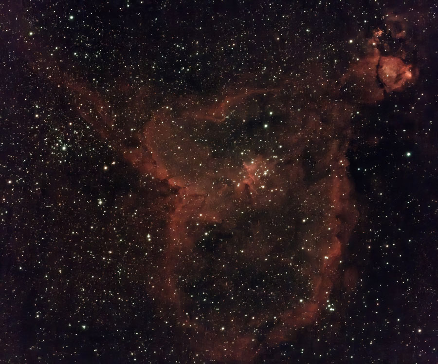 IC1805_img-0358-output_3270s_a-DeNoiseAI_900.jpg