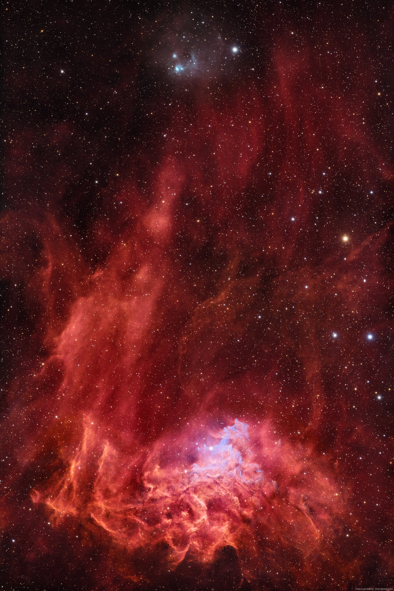 IC405_FlamingStar_20260123_Compress.jpg