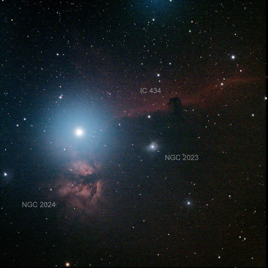 IC434 Apo102 ASI533 L-Pro_69frames_1104s_resized.jpg