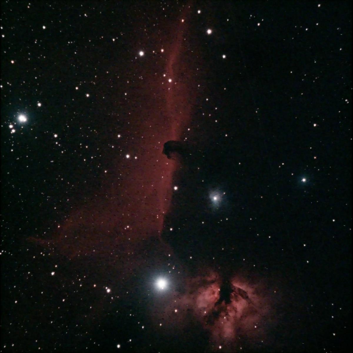 IC434 OliF6ASI533UHC-L_55frames_880s_rezisedDenoised.jpg