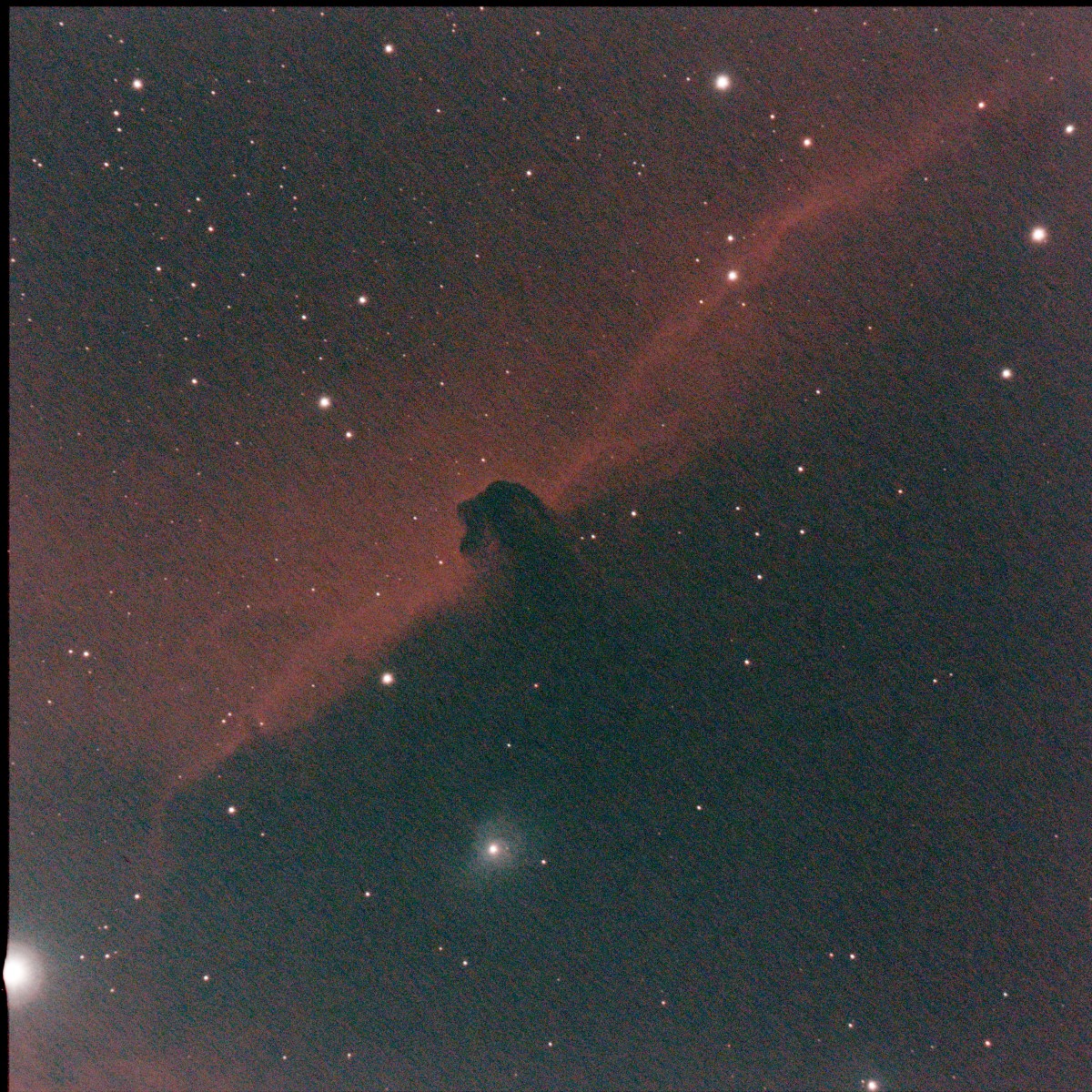 IC434 OlifASI676L-eNh_35frames_1120s_resized.jpg