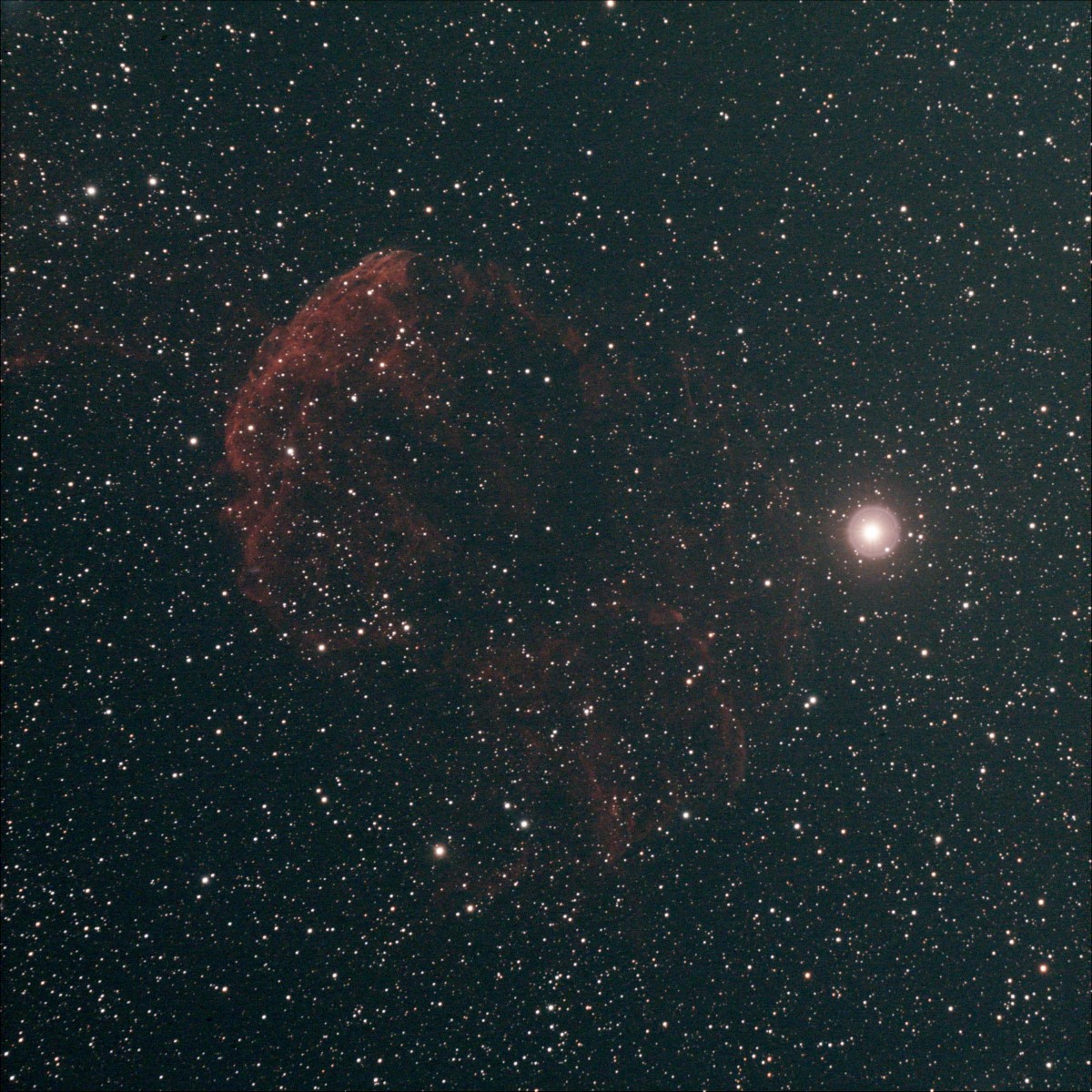 IC443 40x30s Apo102f4.6 ASI533 gain 120 L-Pro resized.jpg