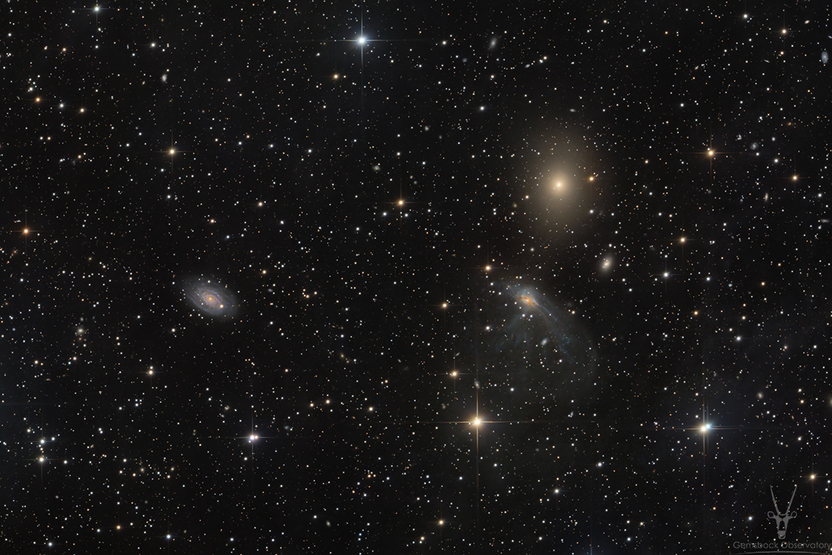 ic4705_gemsbock_cdk_1180.jpg