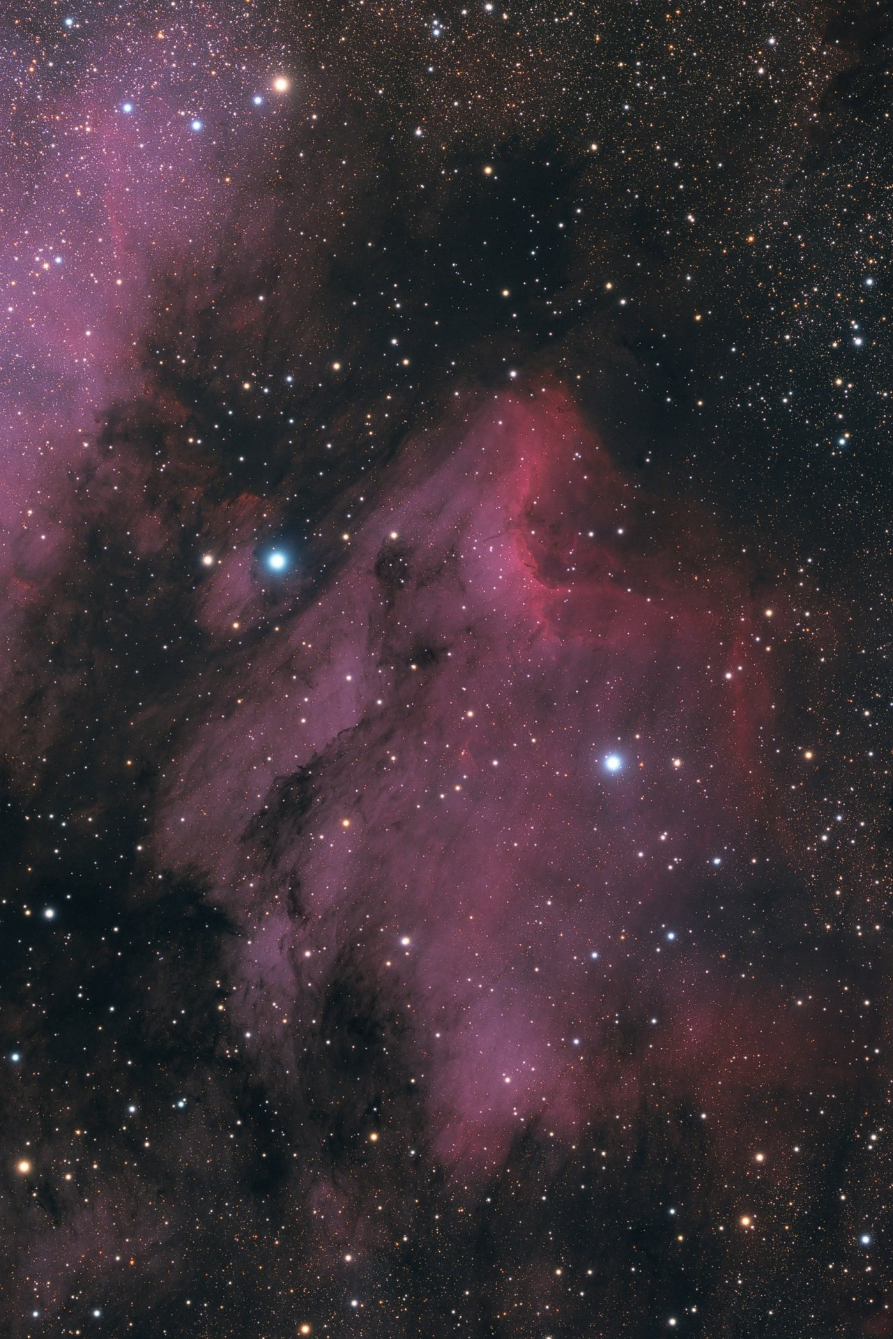 IC5070-RGB_1-St Kopie.jpg