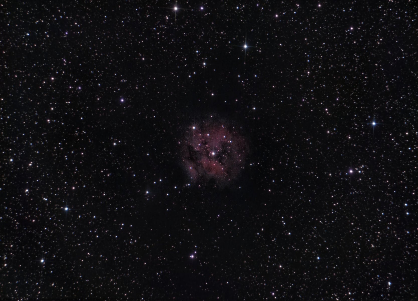 IC5146_2.jpg