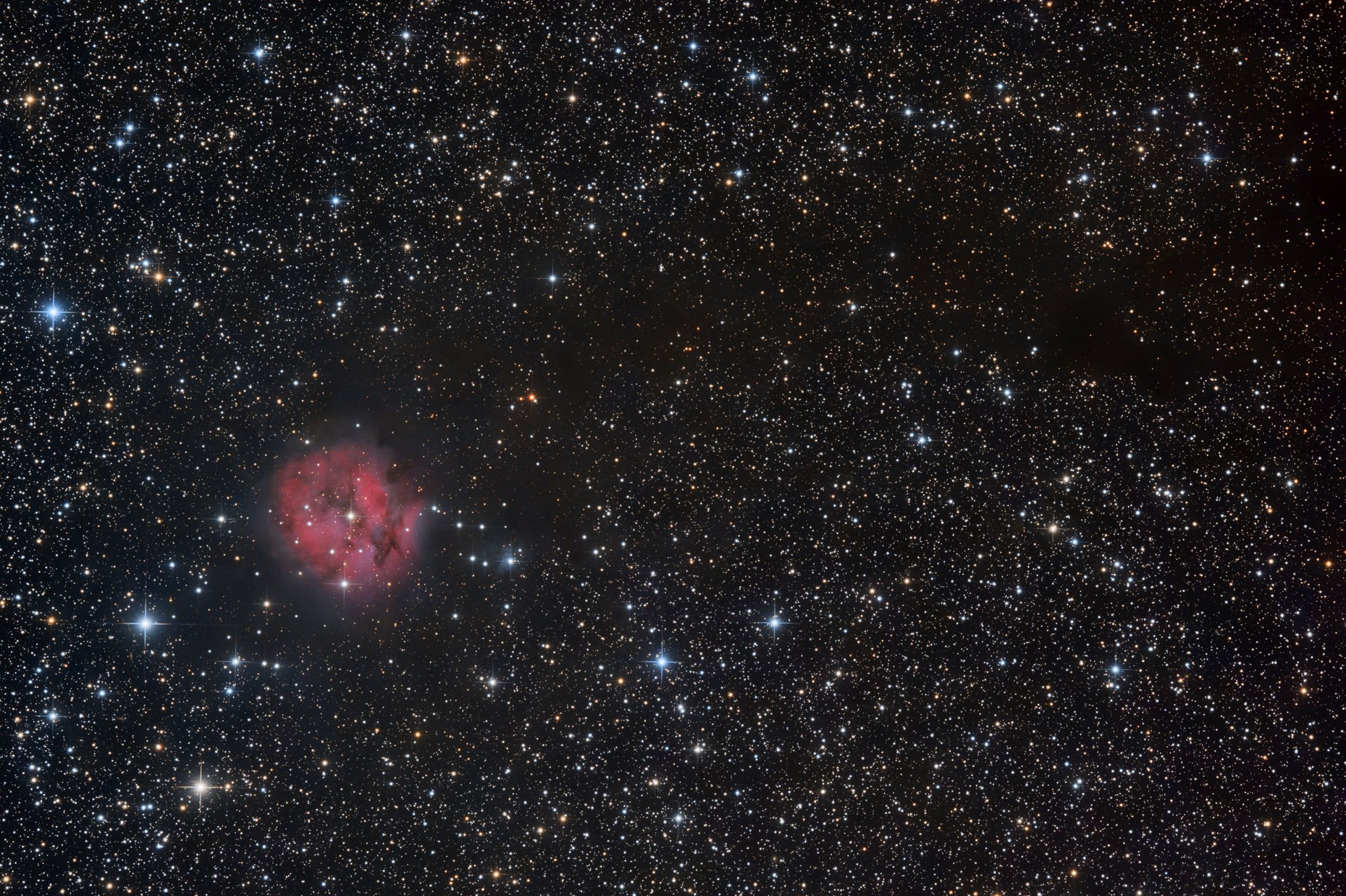 IC5146_PI_PS_v1_50%.jpg