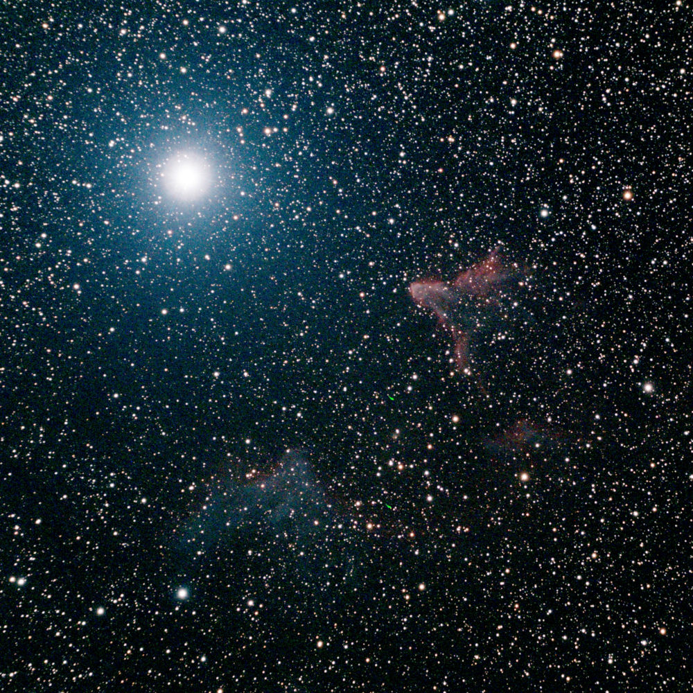 IC63 43x60s guided Apo102f4 ASI533MC L-eNh gain120 cropresized.jpg