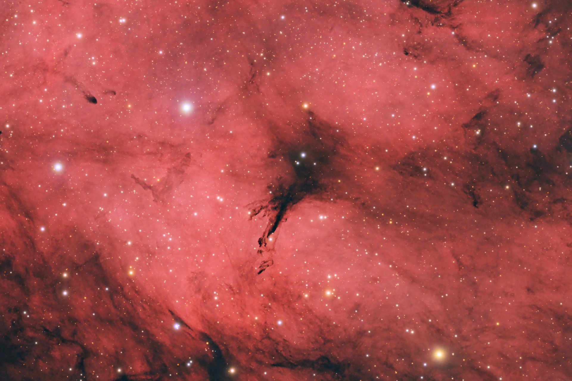 IC_1318_Crop_01.jpg