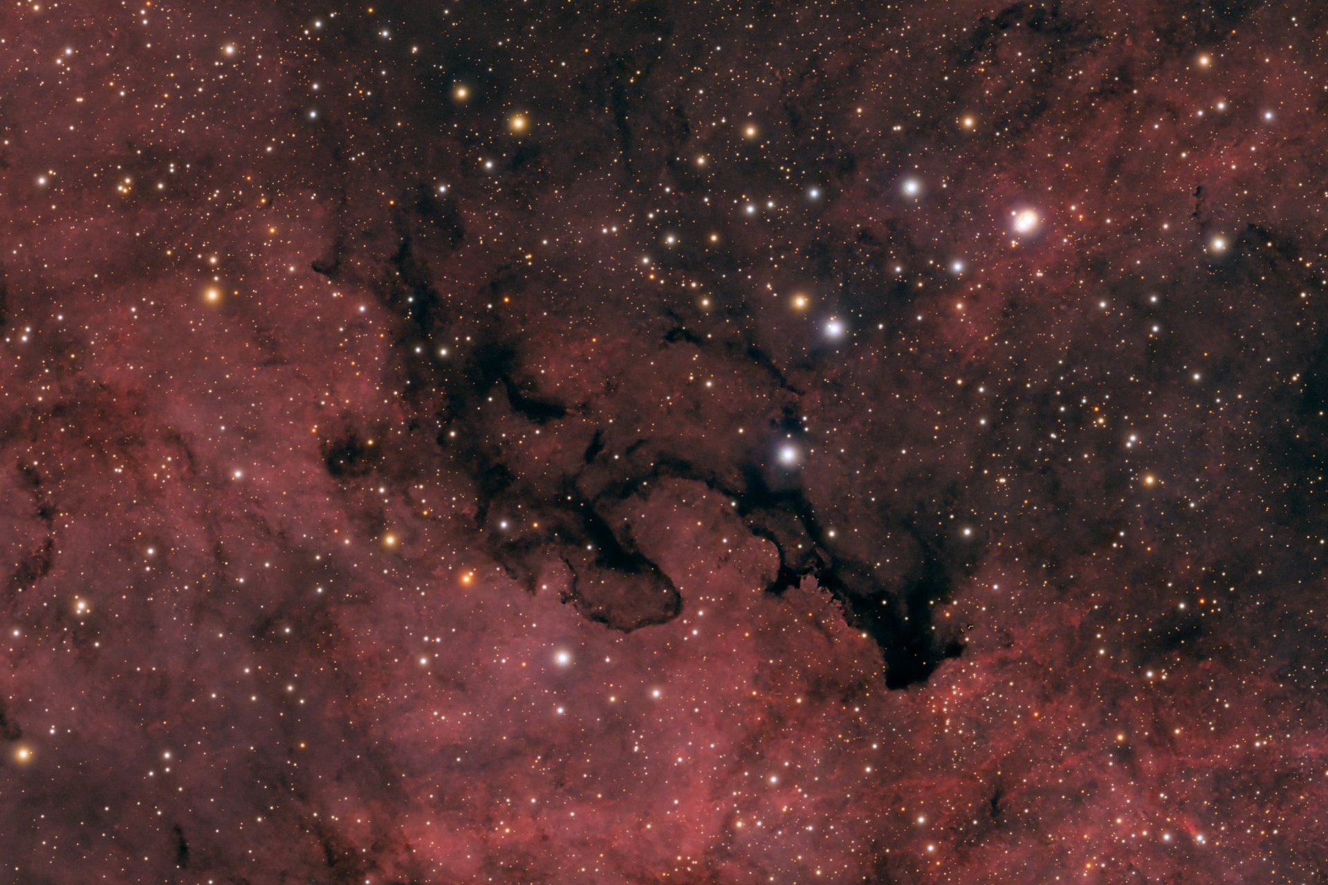 IC_1318_Crop_02.jpg