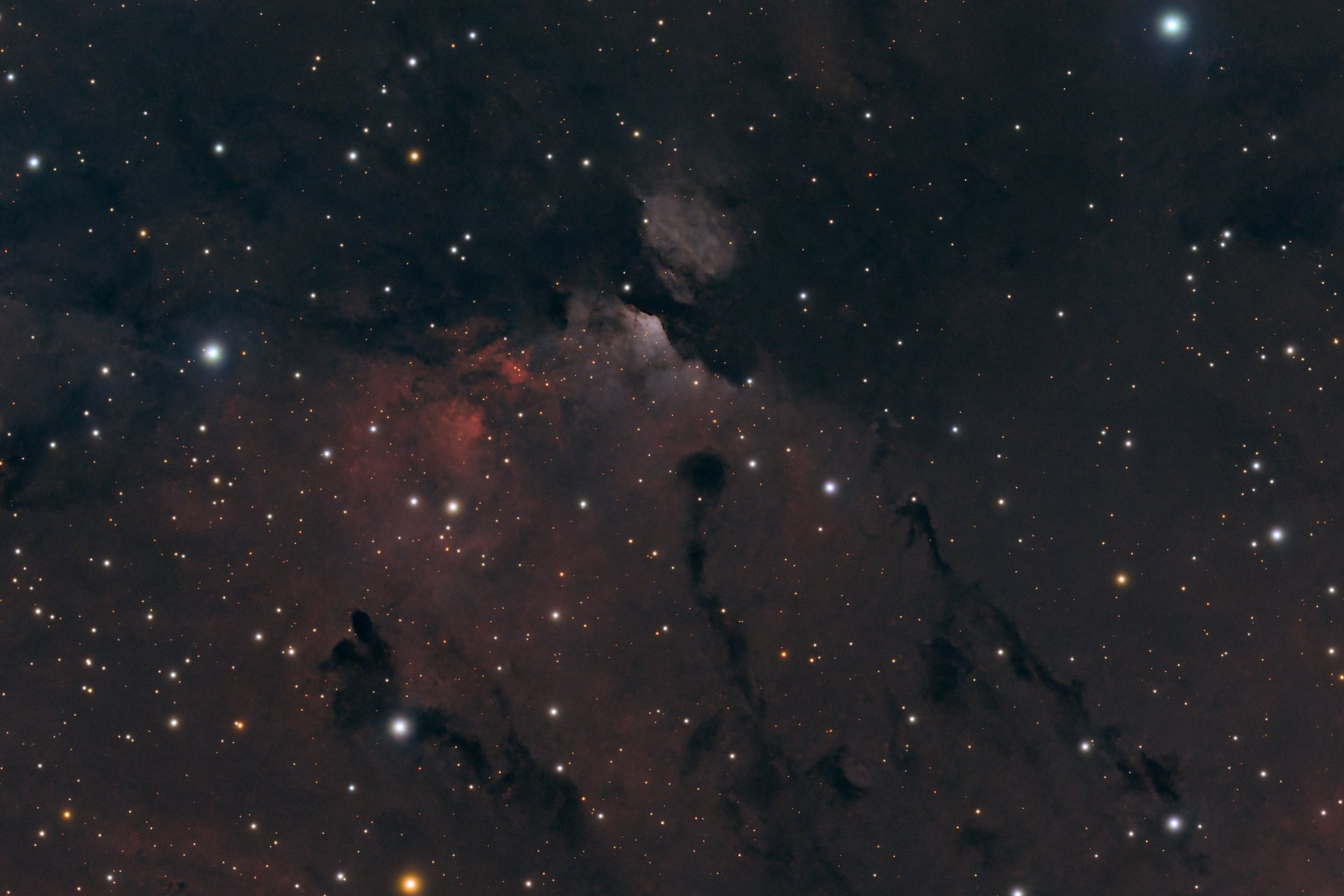 IC_1318_Crop_03.jpg