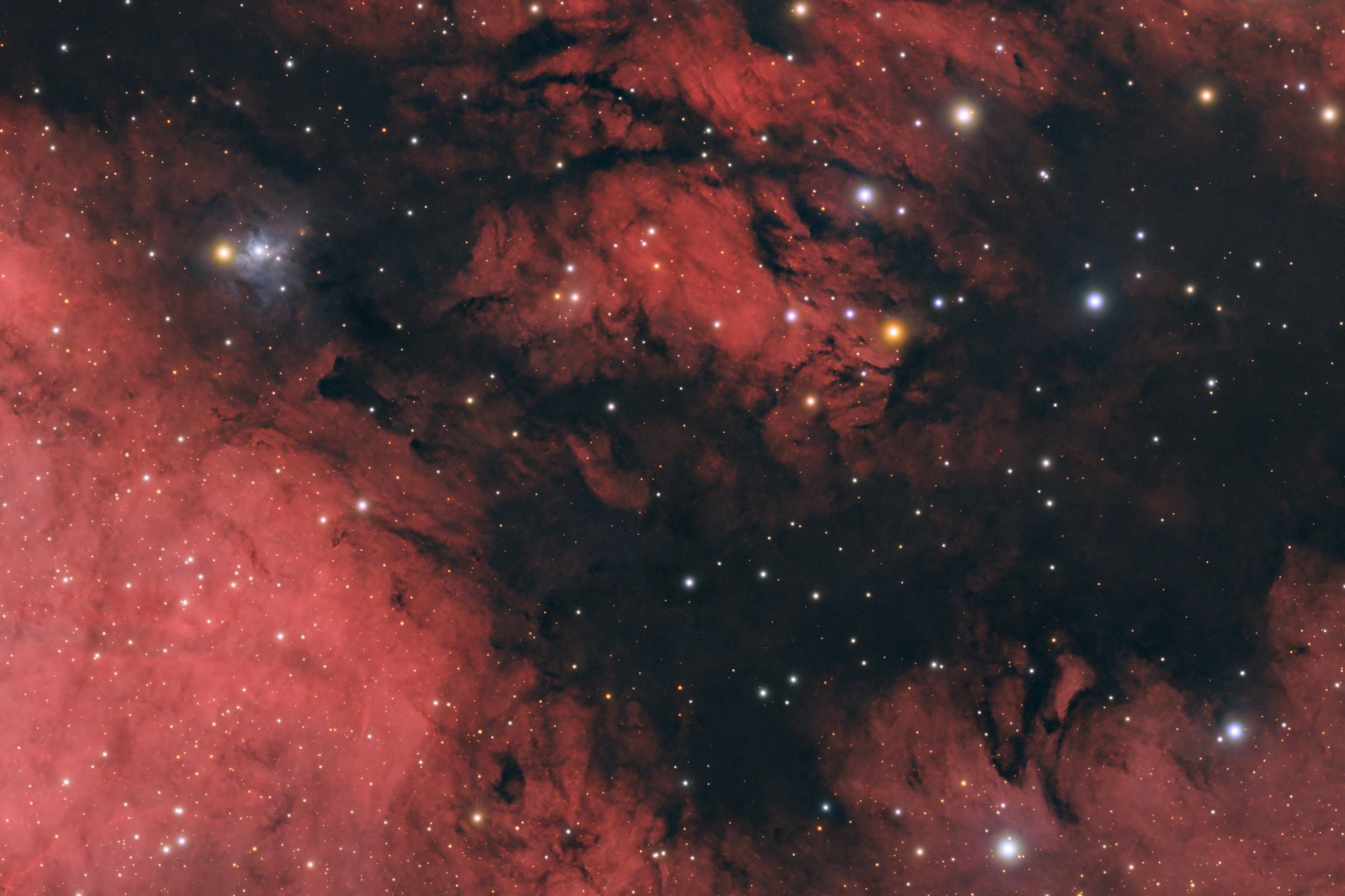 IC_1318_Crop_05.jpg