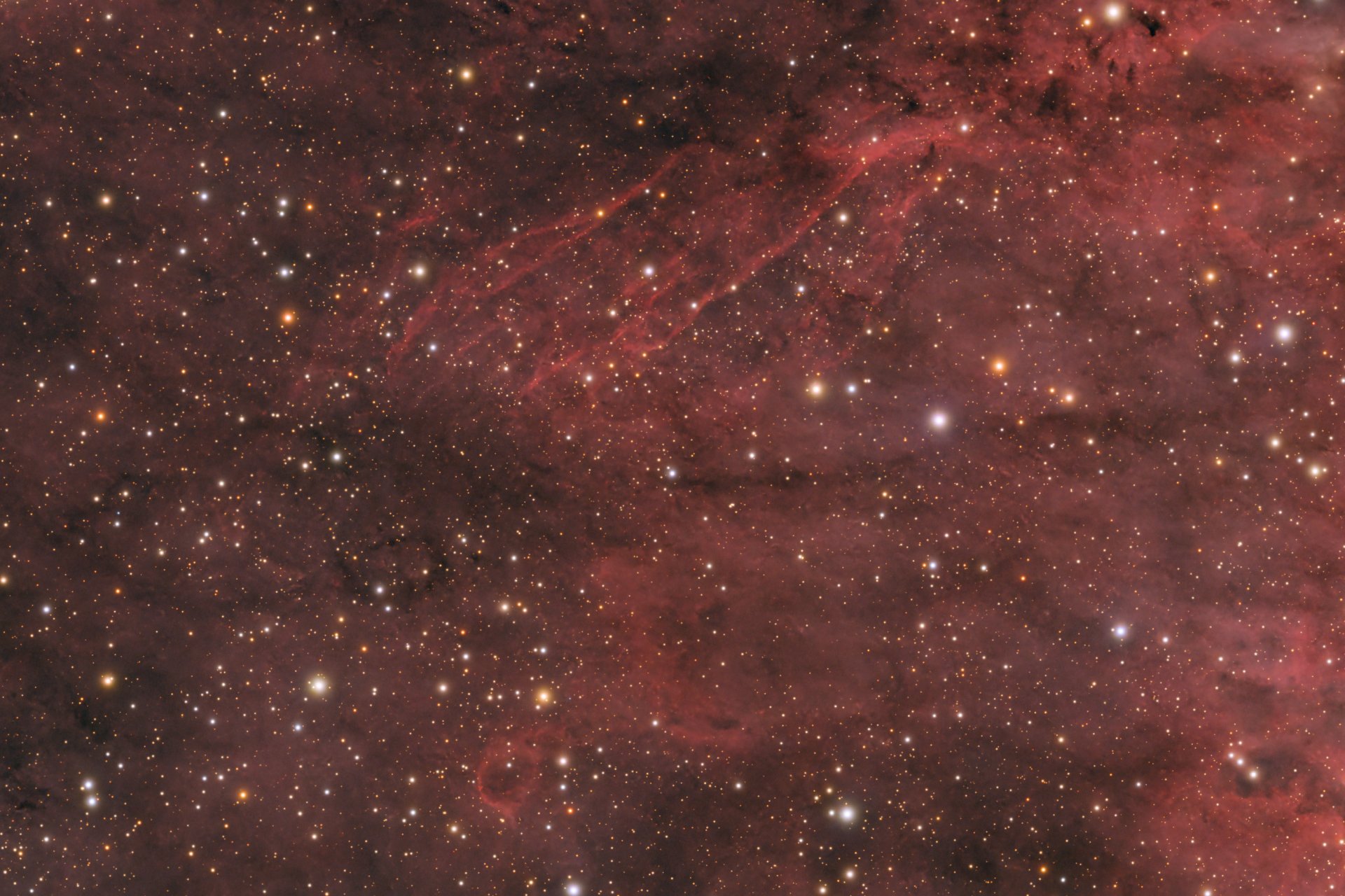 IC_1318_Crop_06.jpg