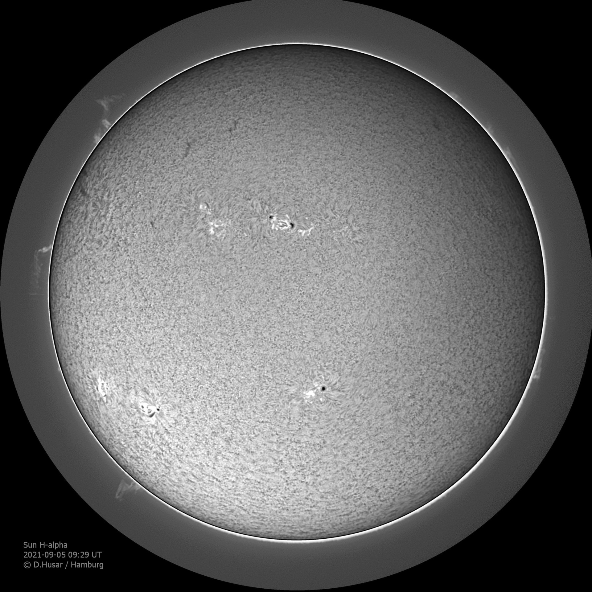 IJ-cut AI-mod-w&hist IJ-gamma04&25 200ex27000 09_29_07_pipp_SUN 2021-09-05 HA-Lu_lapl5_ap1345_...jpg