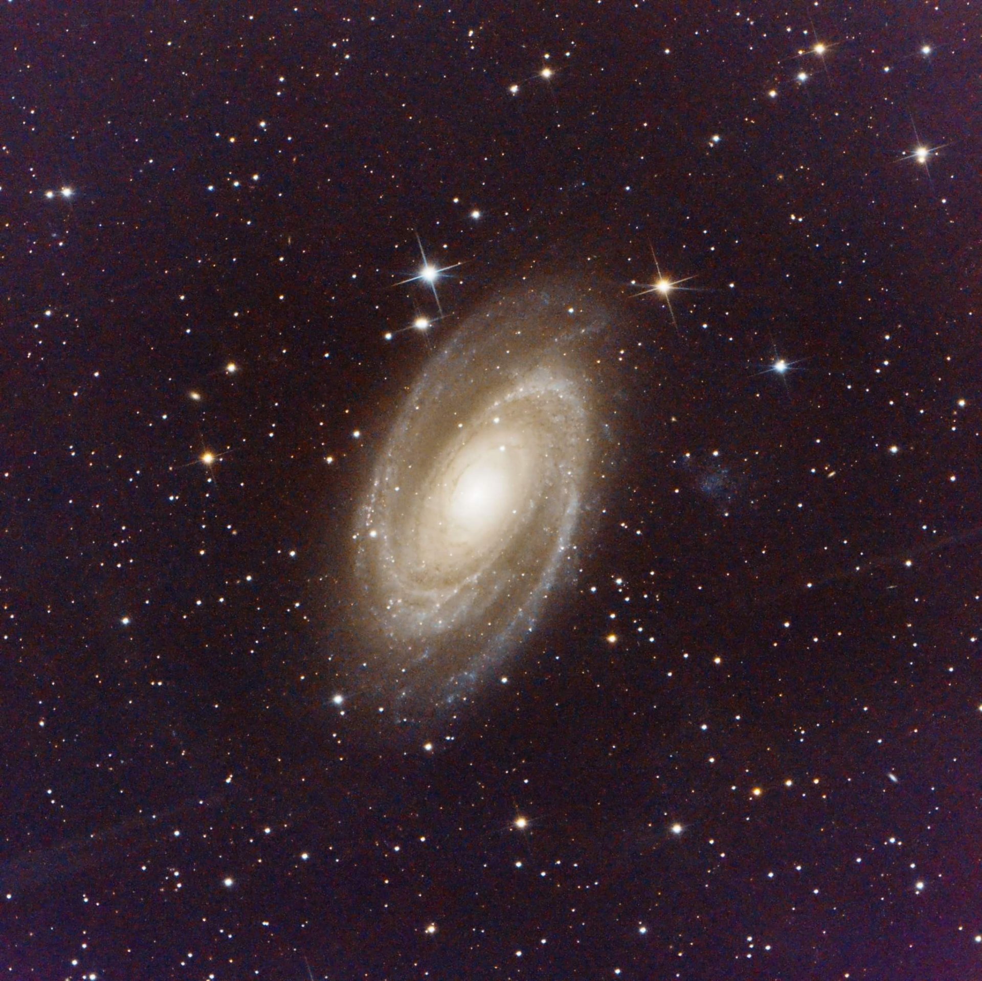 Image-1.jpg