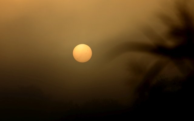 IMG_0086ab.jpg