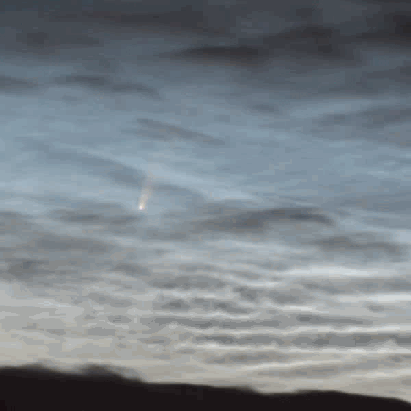 IMG_0190.gif
