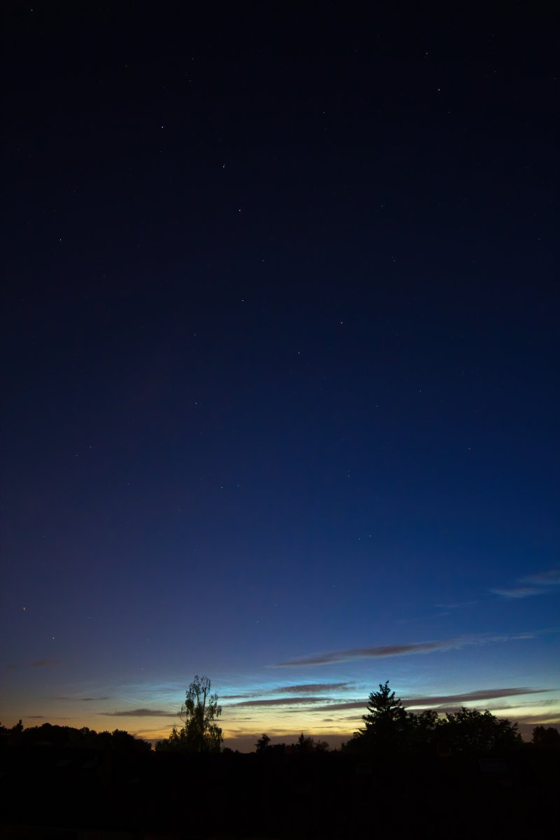 IMG_0226b2-denoise.jpg