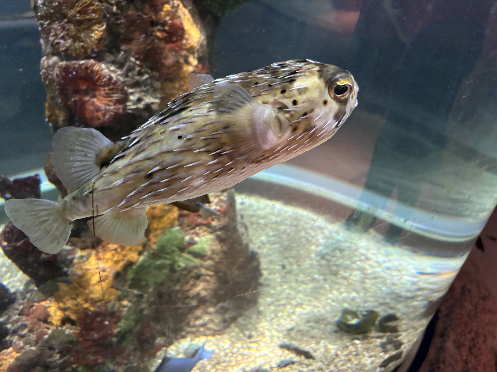 IMG_0388.jpeg