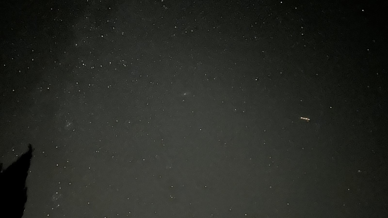 IMG_0768.jpeg