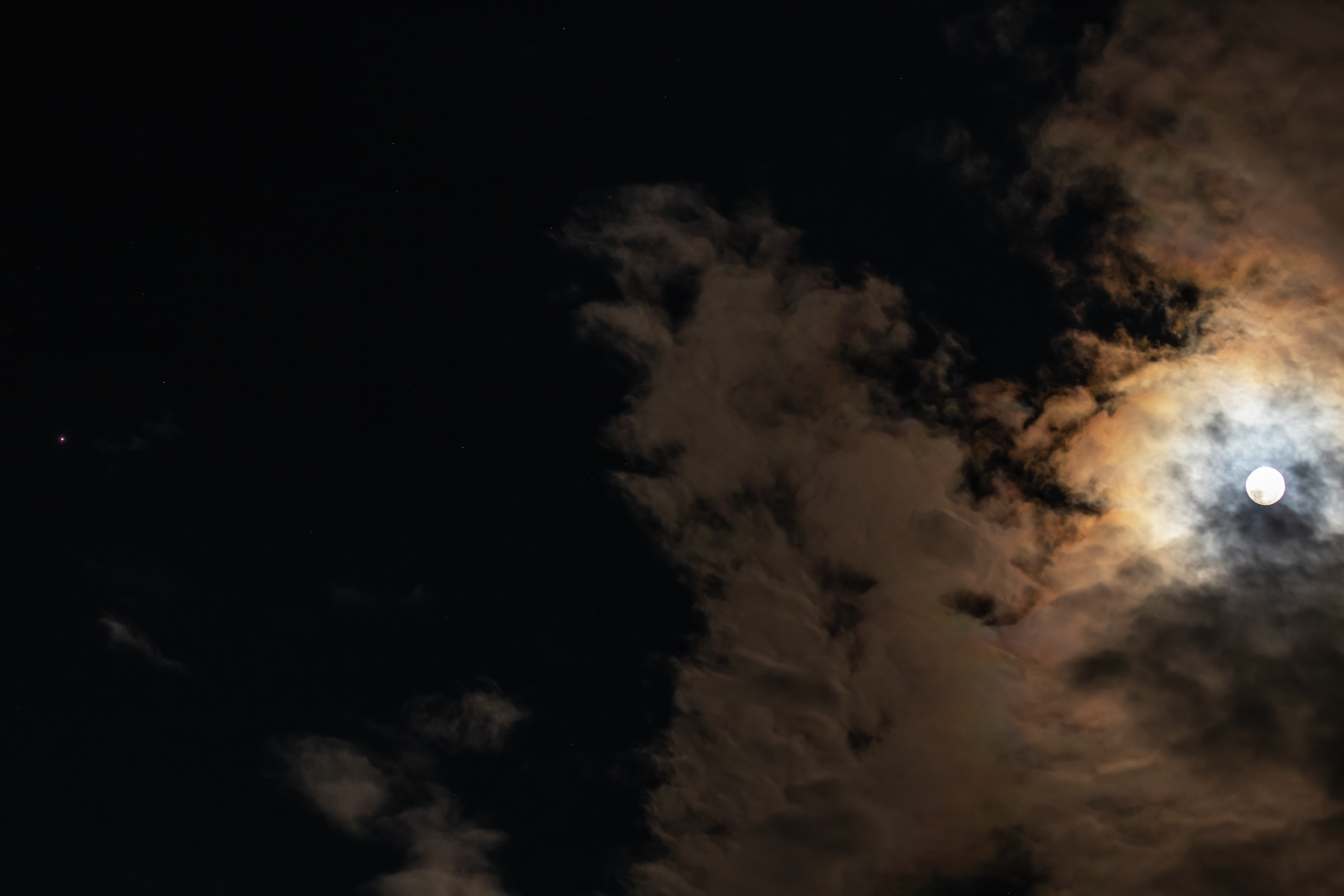 IMG_0980_web.png