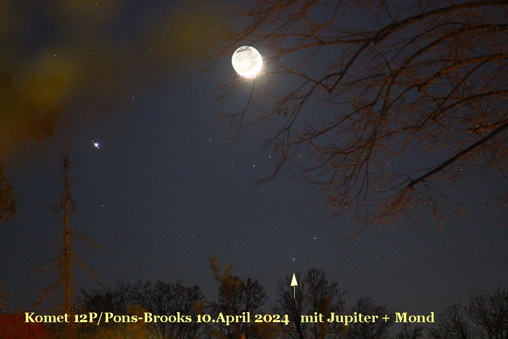 IMG_1019_12P_240410.jpg