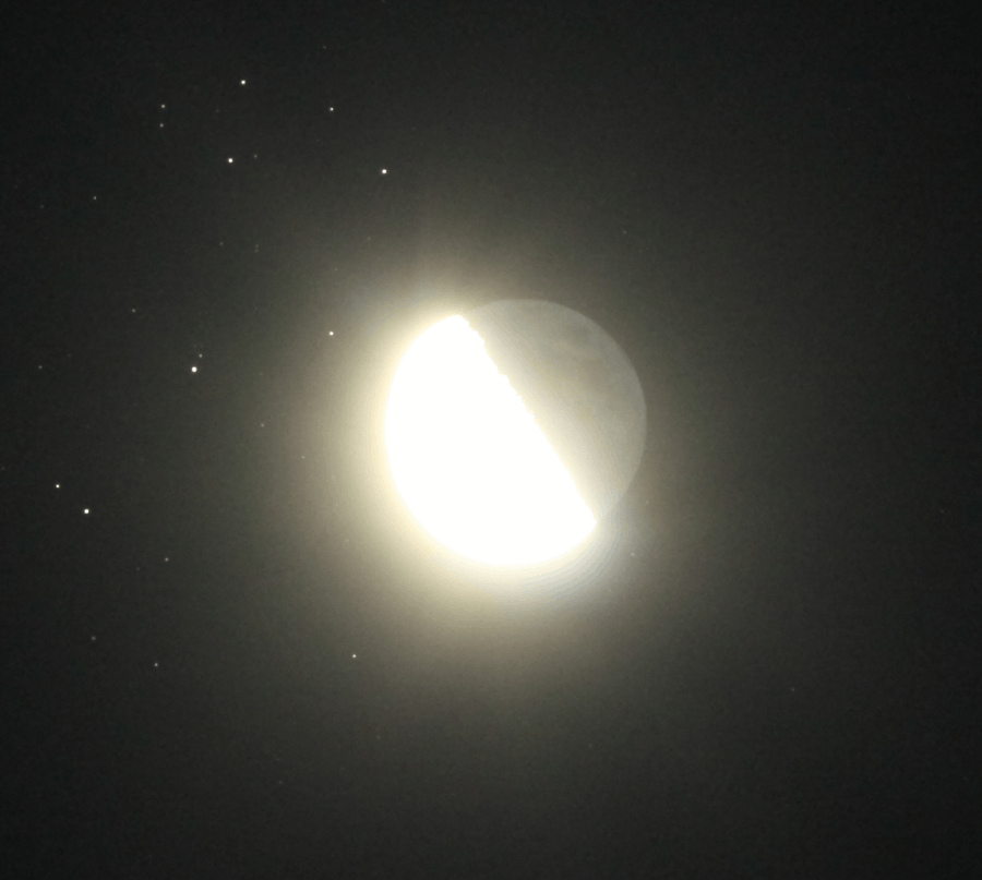 IMG_1200sonnar_pipp.gif