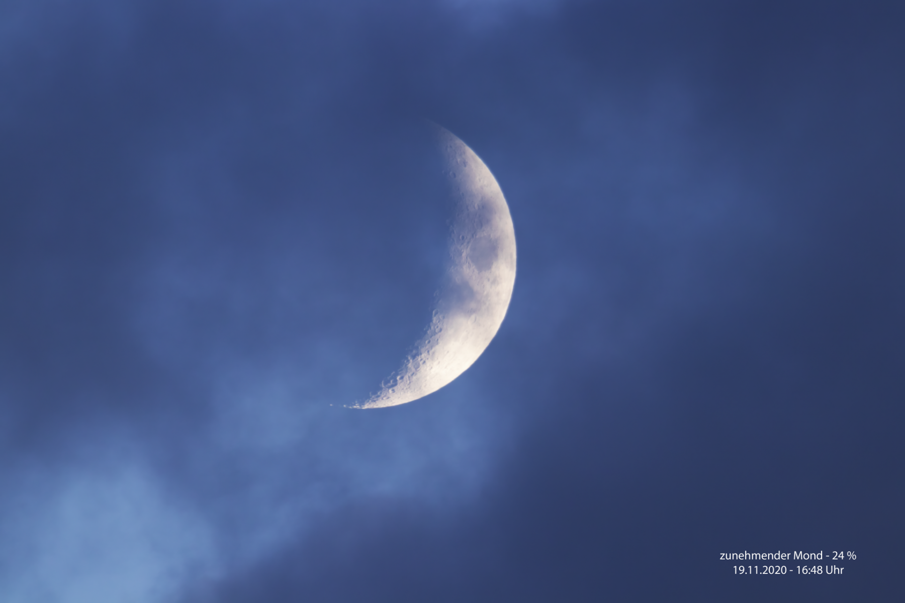 IMG_1272_web.png
