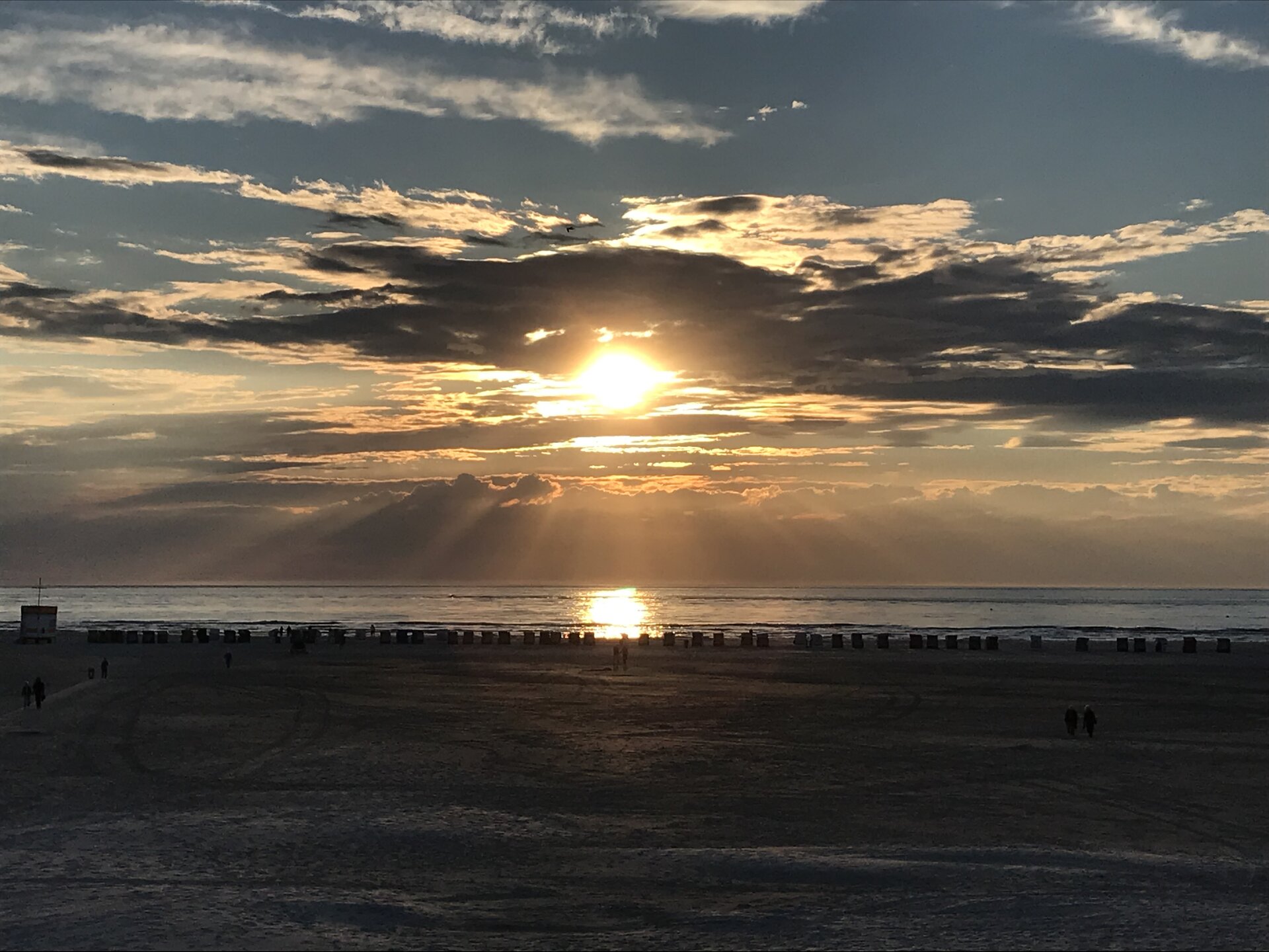 IMG_1288.jpeg