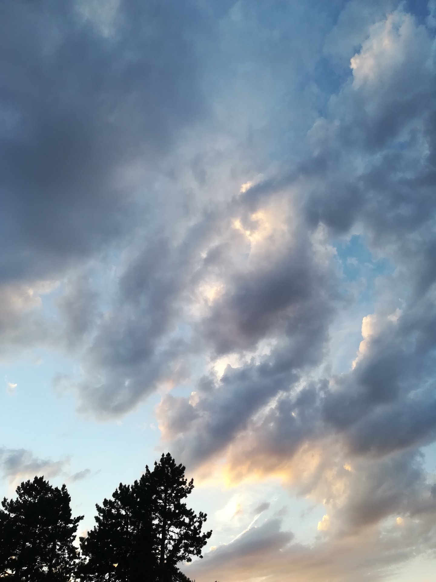 IMG_20210602_211839.jpg