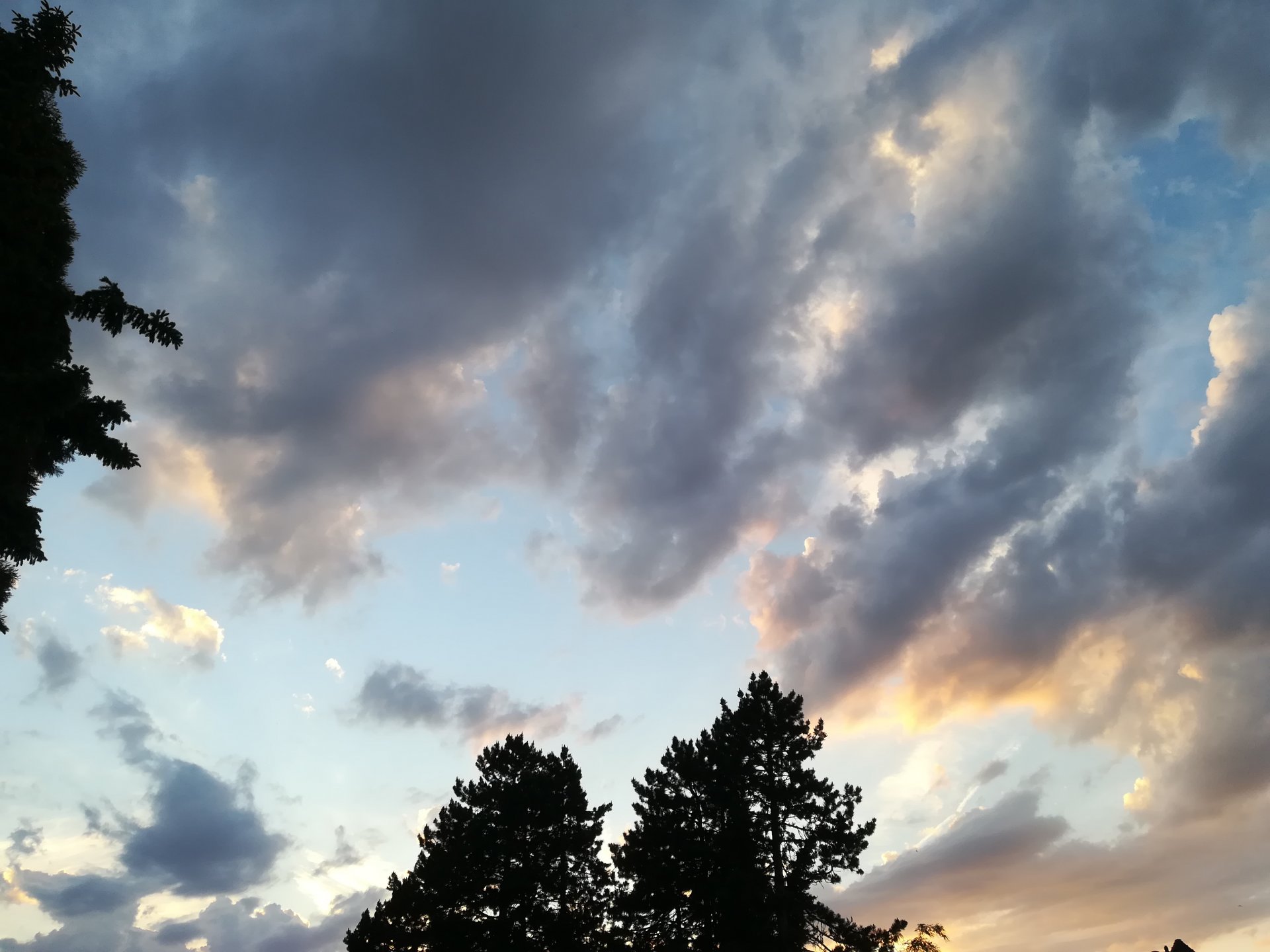 IMG_20210602_211855.jpg