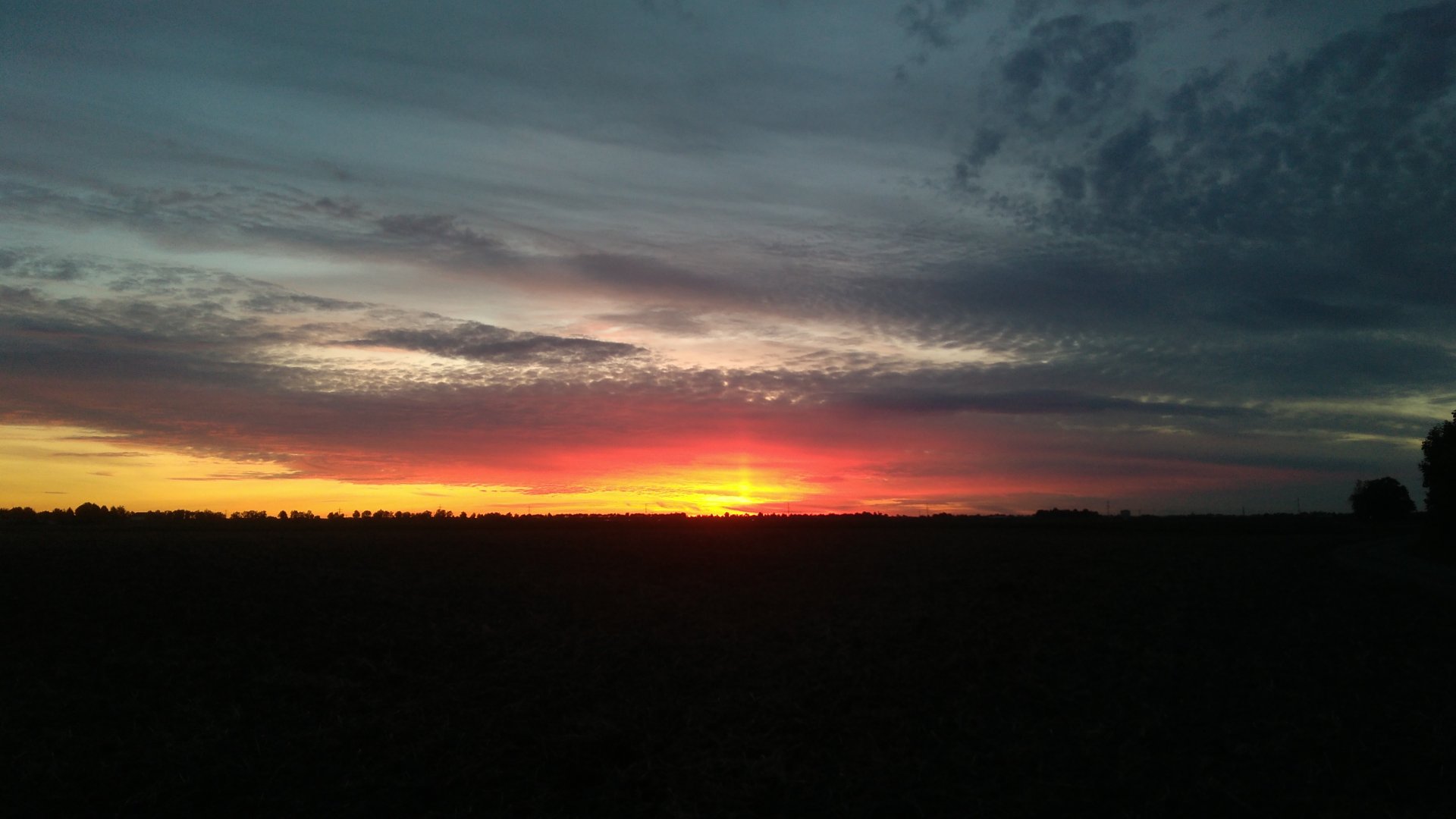 IMG_20210930_190421.jpg