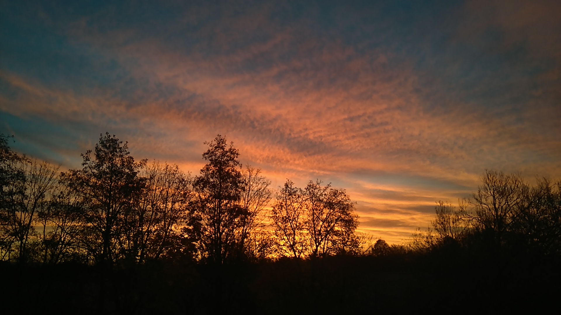 IMG_20211110_065639.jpg