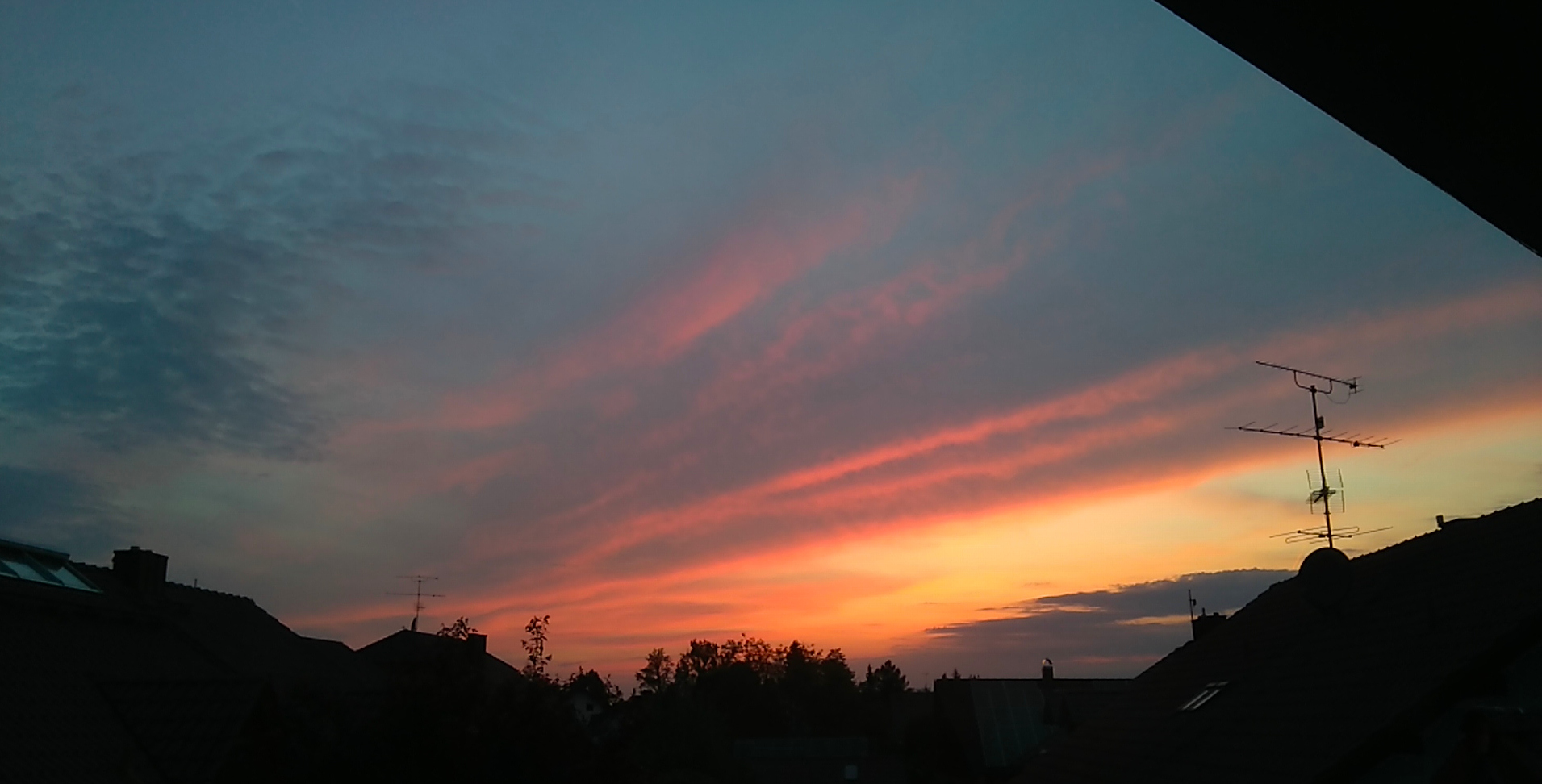 IMG_20220508_204900.jpg