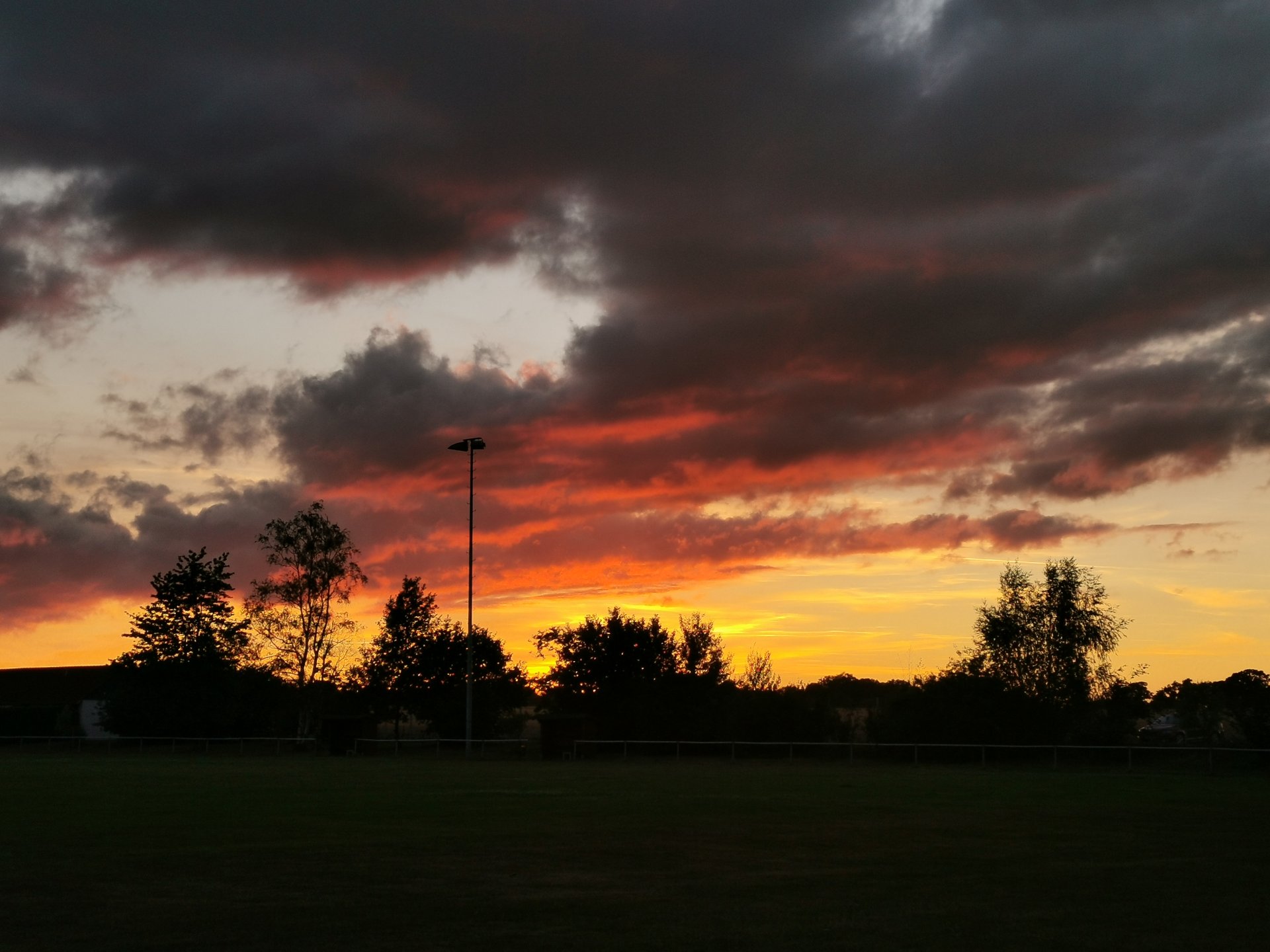 IMG_20220708_214349.jpg