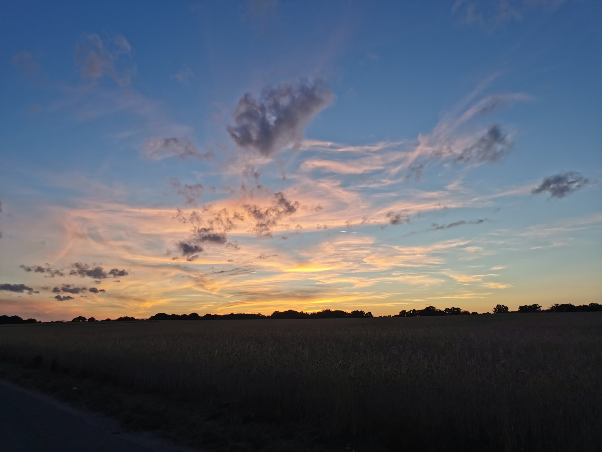 IMG_20220708_220016.jpg