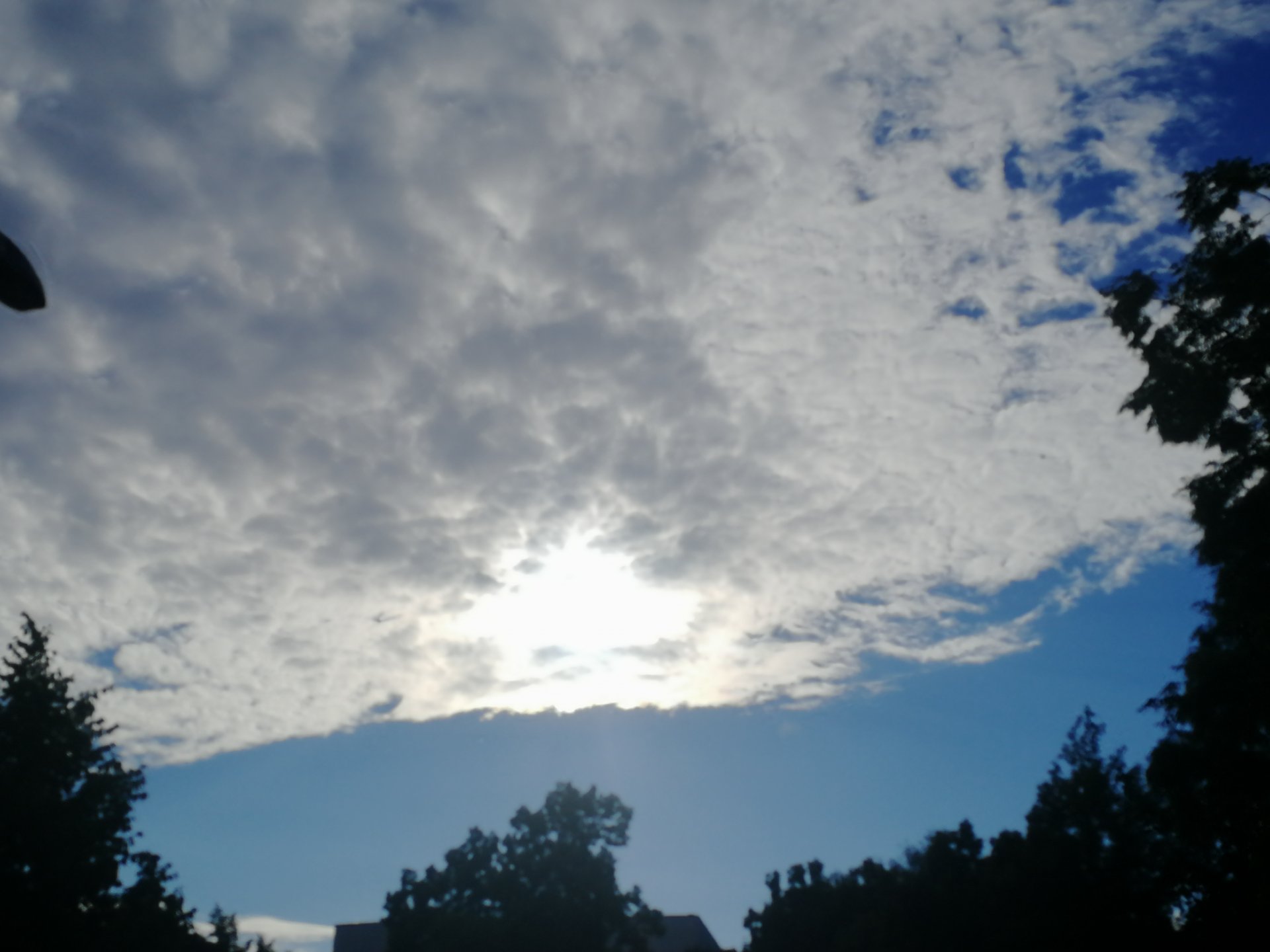 IMG_20220709_185310.jpg