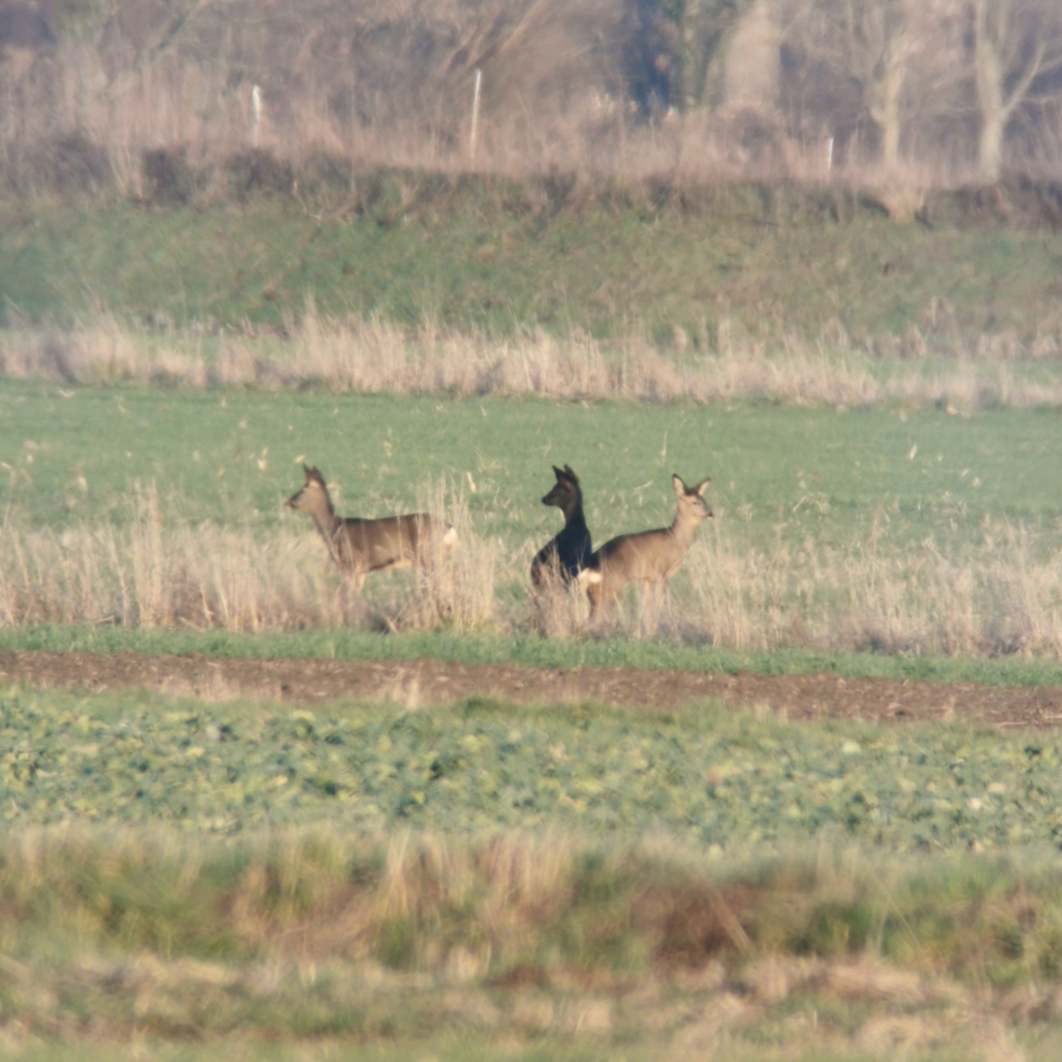 IMG_20230128_230139.jpg