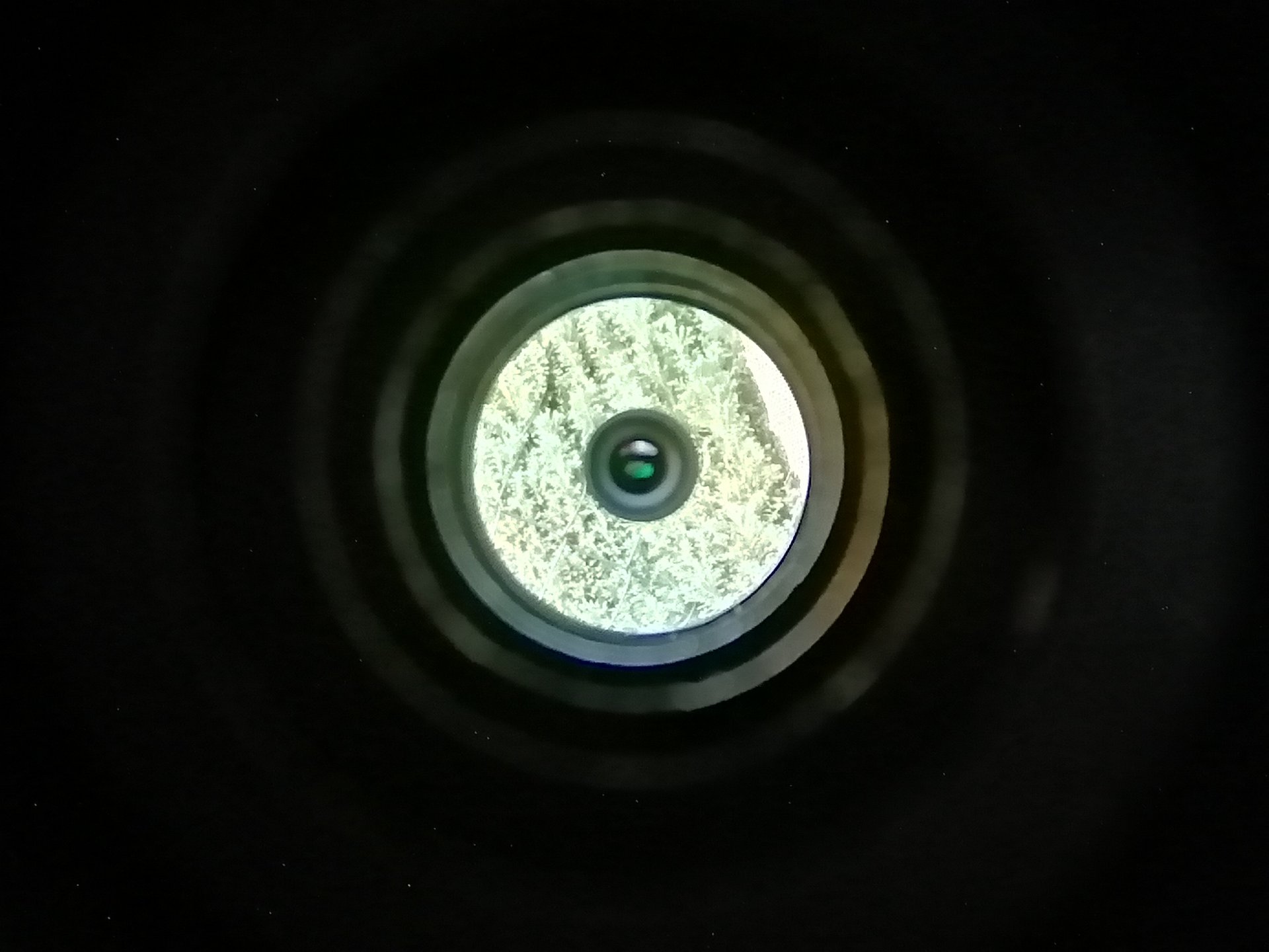 IMG_20230604_202647.jpg