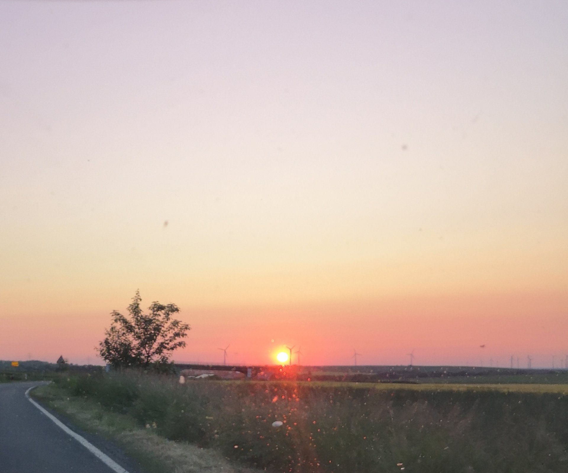 IMG_20230605_175326.jpg