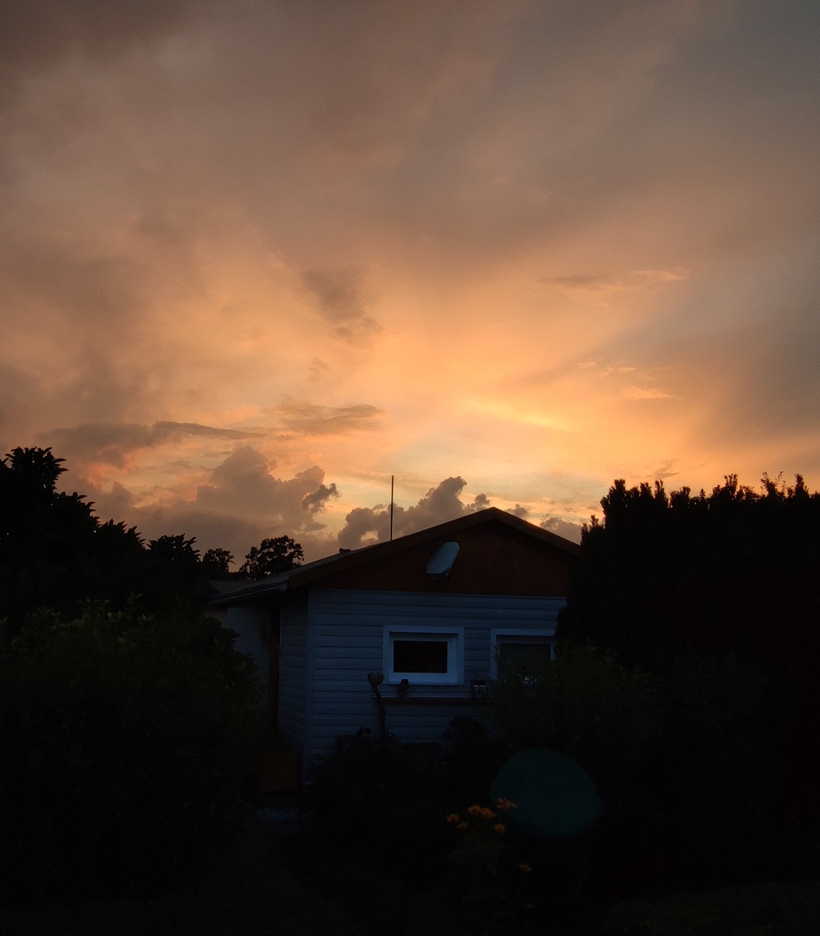 IMG_20230729_210236~2.jpg