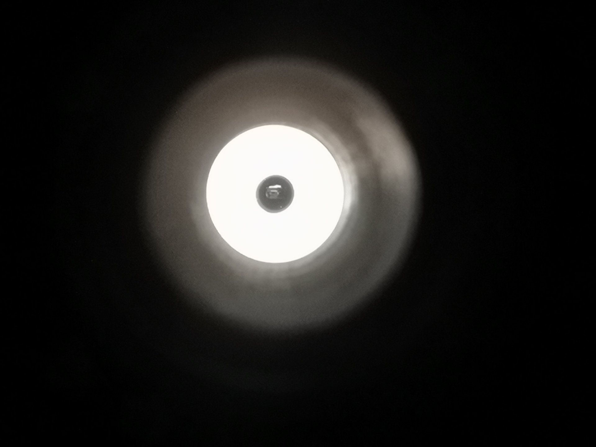 IMG_20230808_191415.jpg