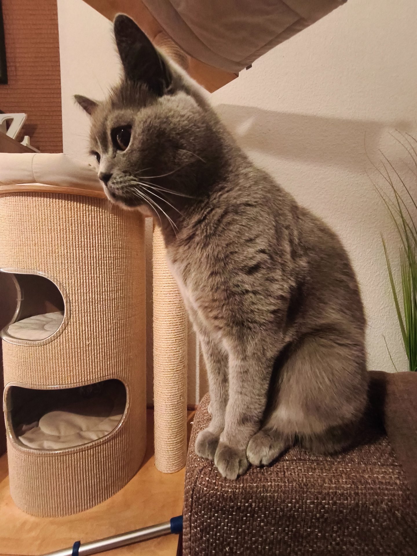 IMG_20251116_181459.jpg
