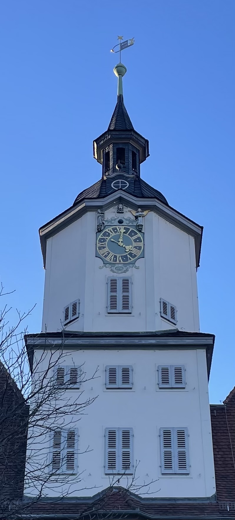 IMG_2034.jpeg